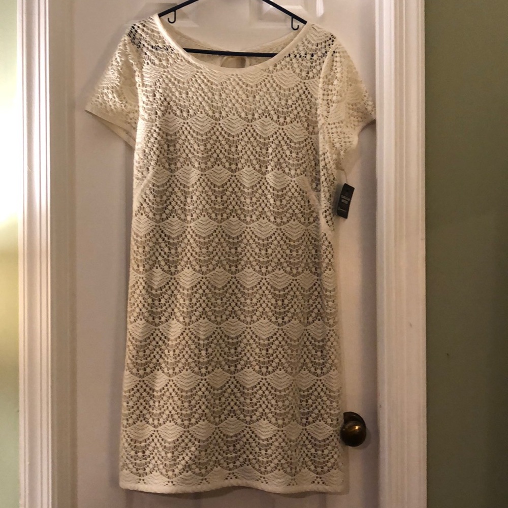 Loft Crochet Dress